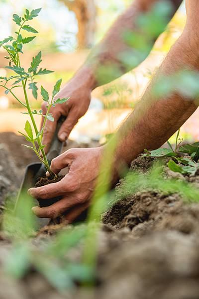 prodotrti biologici vicino a me