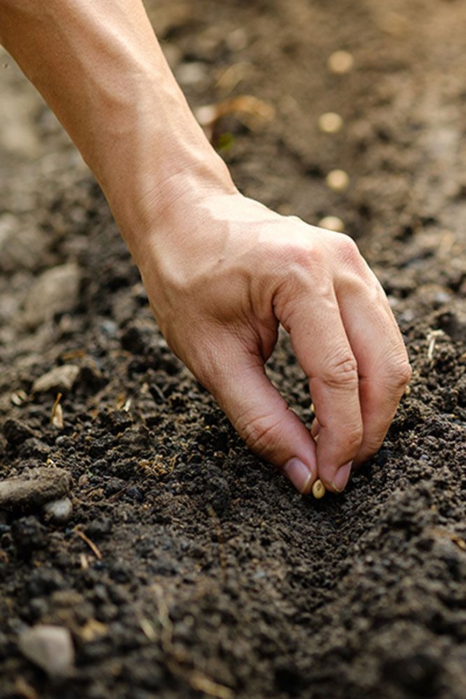 prodotrti biologici vicino a me