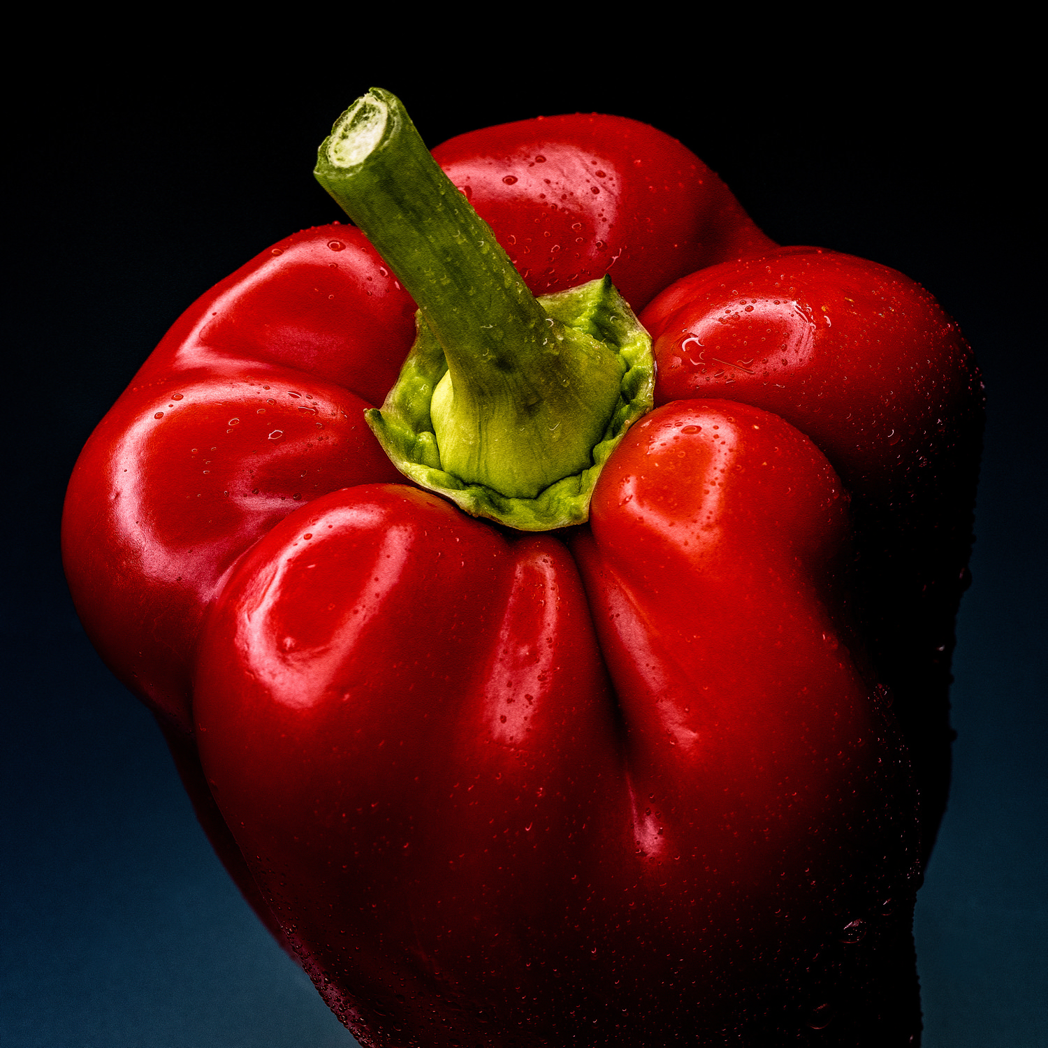 Peperone rosso fresco con superficie bagnata su sfondo scuro